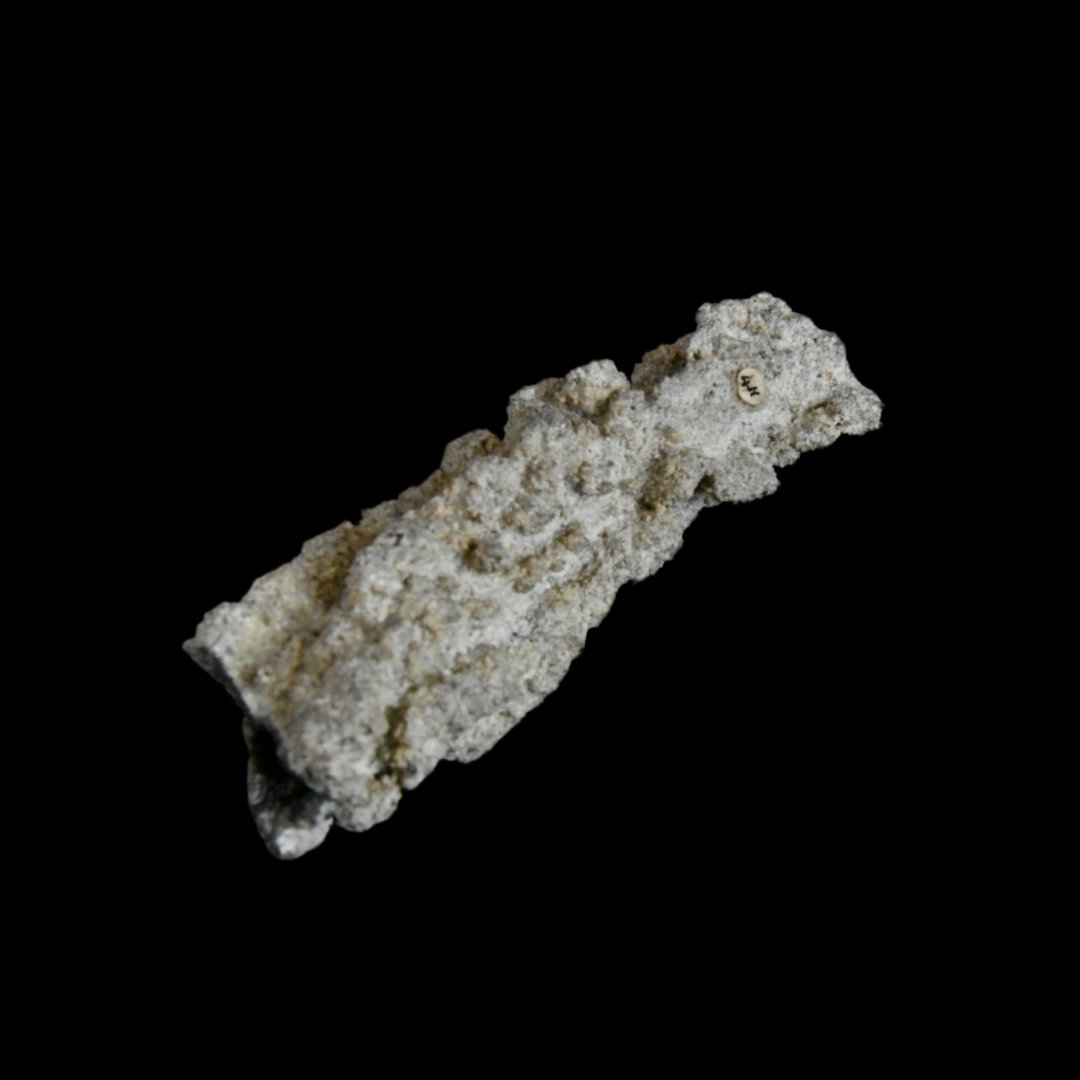 Lapworth Museum of Geology tweet media