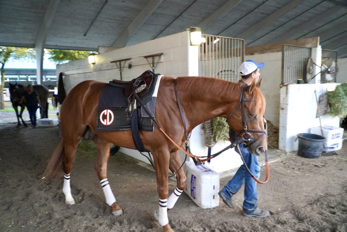 Belladonna Racing Partnership tweet media