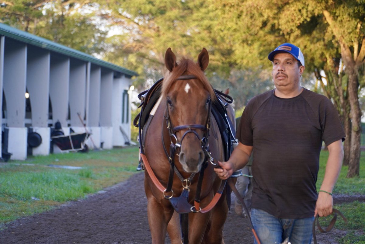 Belladonna Racing Partnership tweet media