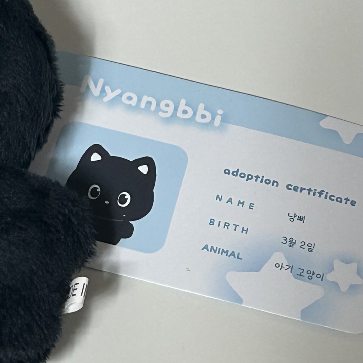 🐈‍⬛🖤

<a href="/nyangbbi_/">냥삐 & 또삐</a>