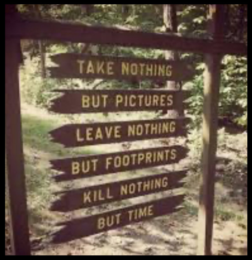 kangaroos991's tweet image. Love this but it seems sad we need signs to remind us to do the &apos;right&apos; thing, eh?
Someone also said, &quot;The standard you walk past is the standard you accept!&quot;

Raise a ✋ if you agree with the sign! 🙋‍♂️

#ThereIsNoPlanetB #ProtectOurTrees
#StopNativeLogging #ProtectTheBees