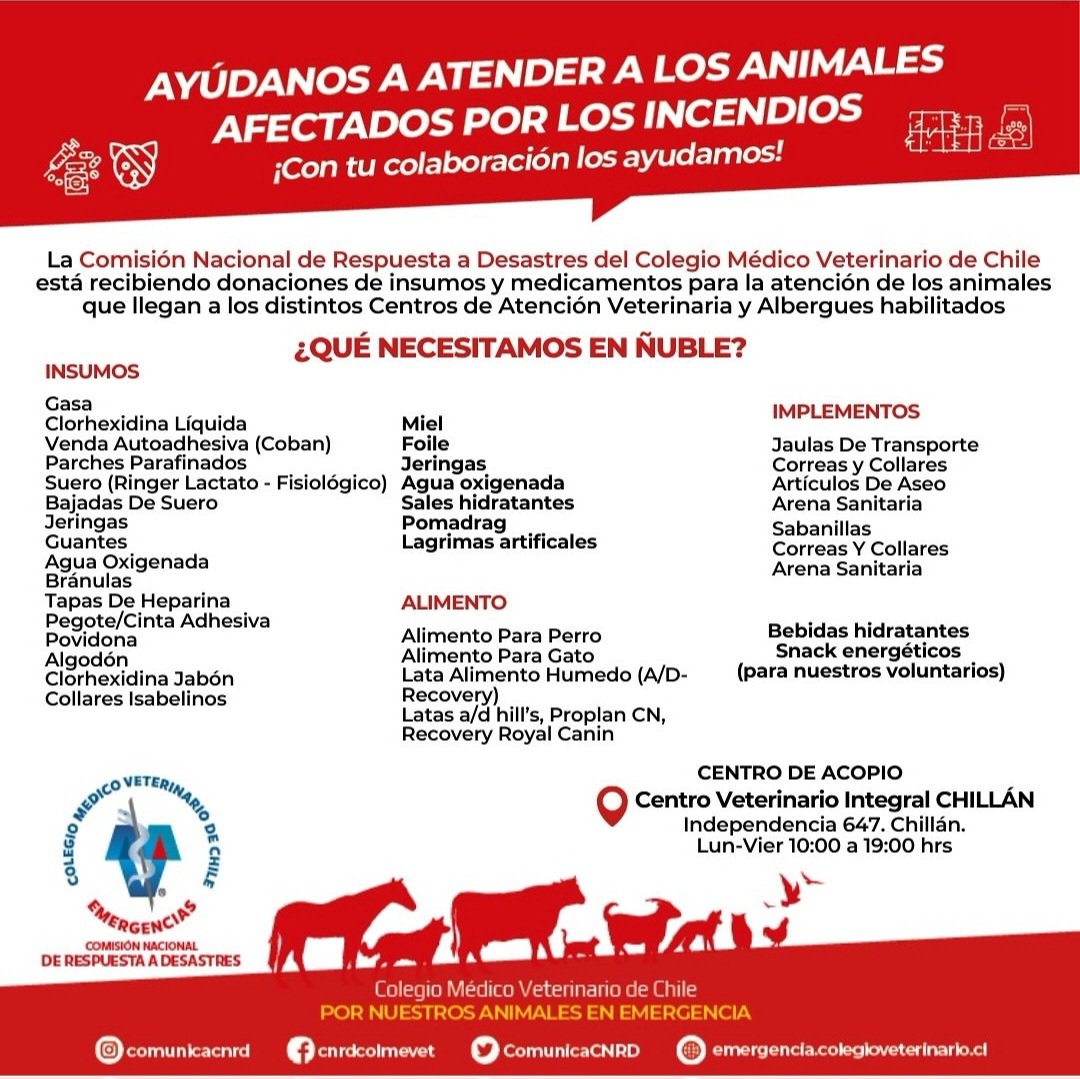 En #Chillán 
El <a href="/colmevetchile/">Colegio Médico Veterinario de Chile</a>  recibe ayuda para animales afectados por los incendios.
Dónde?
Calle Independencia 647
Cuándo?
Lunes a viernes de 09:00 a 19:00 hrs