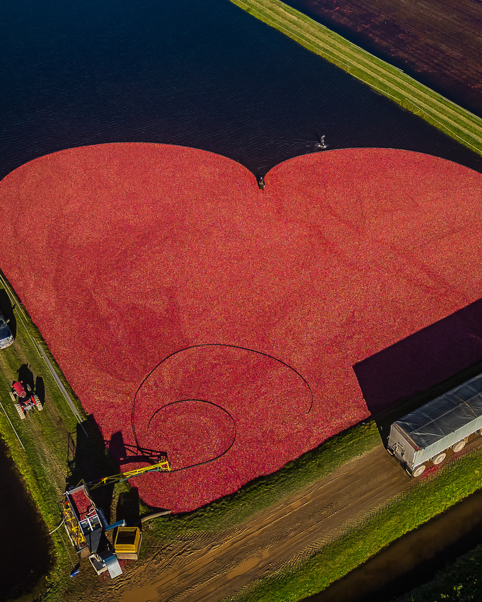 New Brunswick Deliciously Canadian tweet media