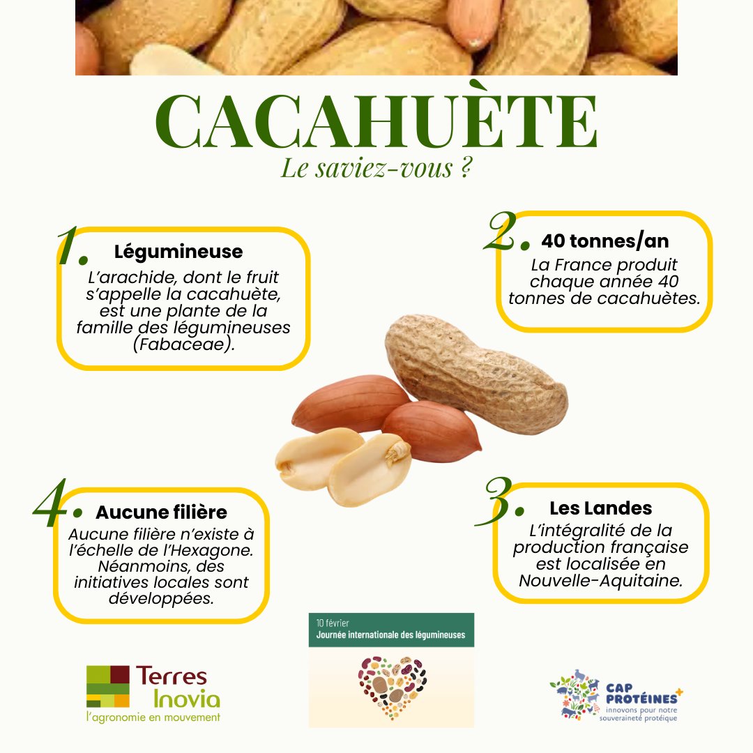 Cap Protéines tweet media