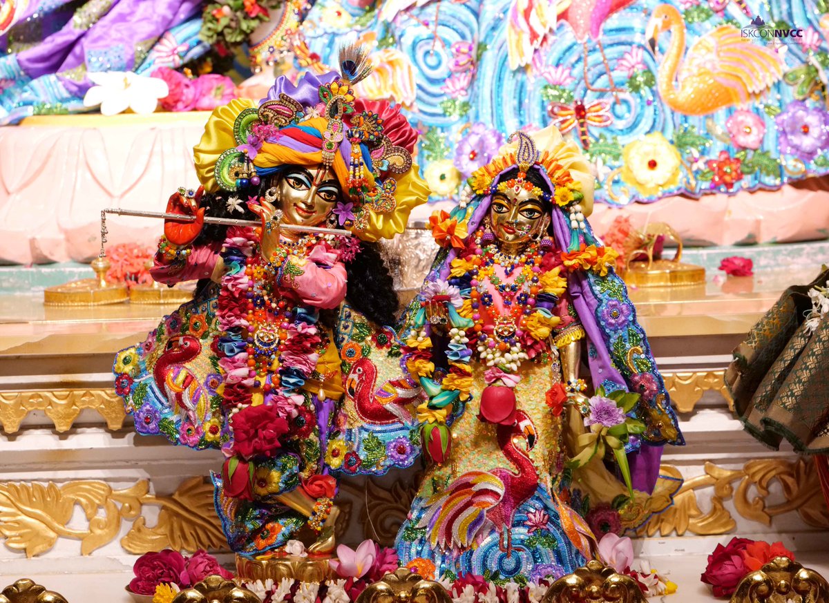ISKCONPune's tweet photo. 🌷Sri Nityananda Trayodashi Special Darshan🌷
🗓10-02-2025🙏 🚩@ISKCONNVCCPune🚩
.
.
#ISKCONNVCC #ISKCONPune #ISKCONNVCCPune #ISKCON
#Nityanandatrayodashi #12thAnniversary #12thAnniversarynvcc
#10thfebruary #10thfebruary2025 #Monday #Nitai
#Harinaamsankirtan #Radheshyamdas https://t.co/vyIg3LeiCk