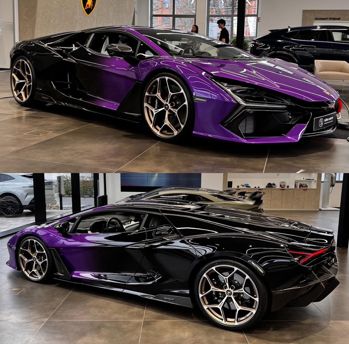 Viola Pasifae/Nero Pegaso Revuelto