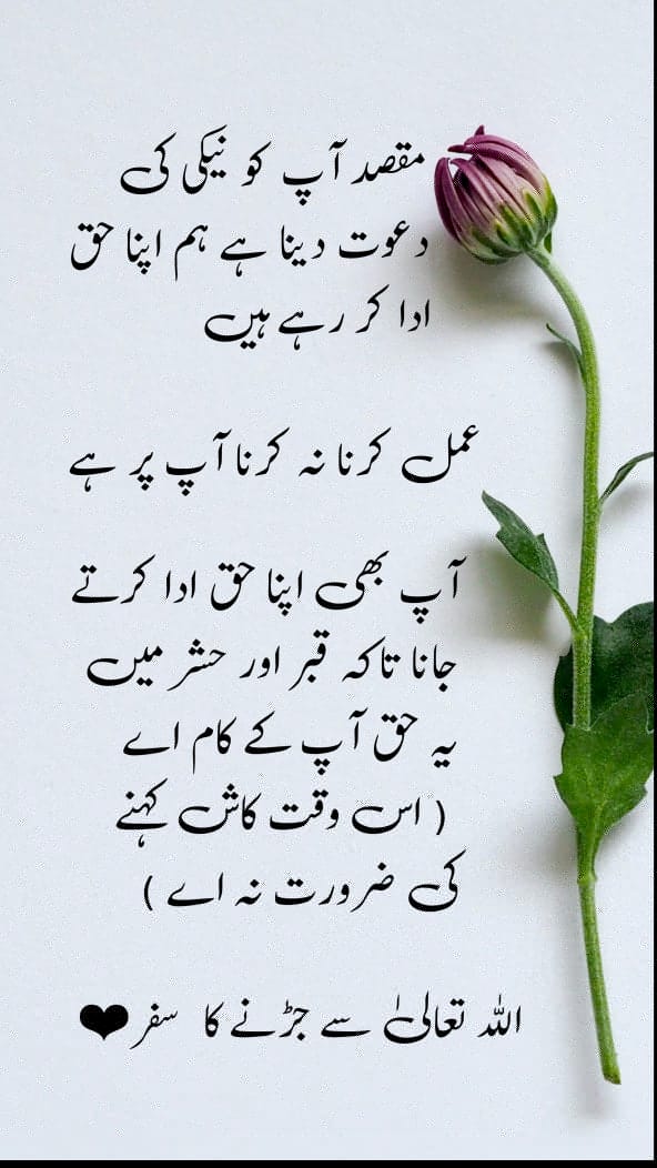 Nouralihaider's tweet photo. https://t.co/gN3YOiyjbJ