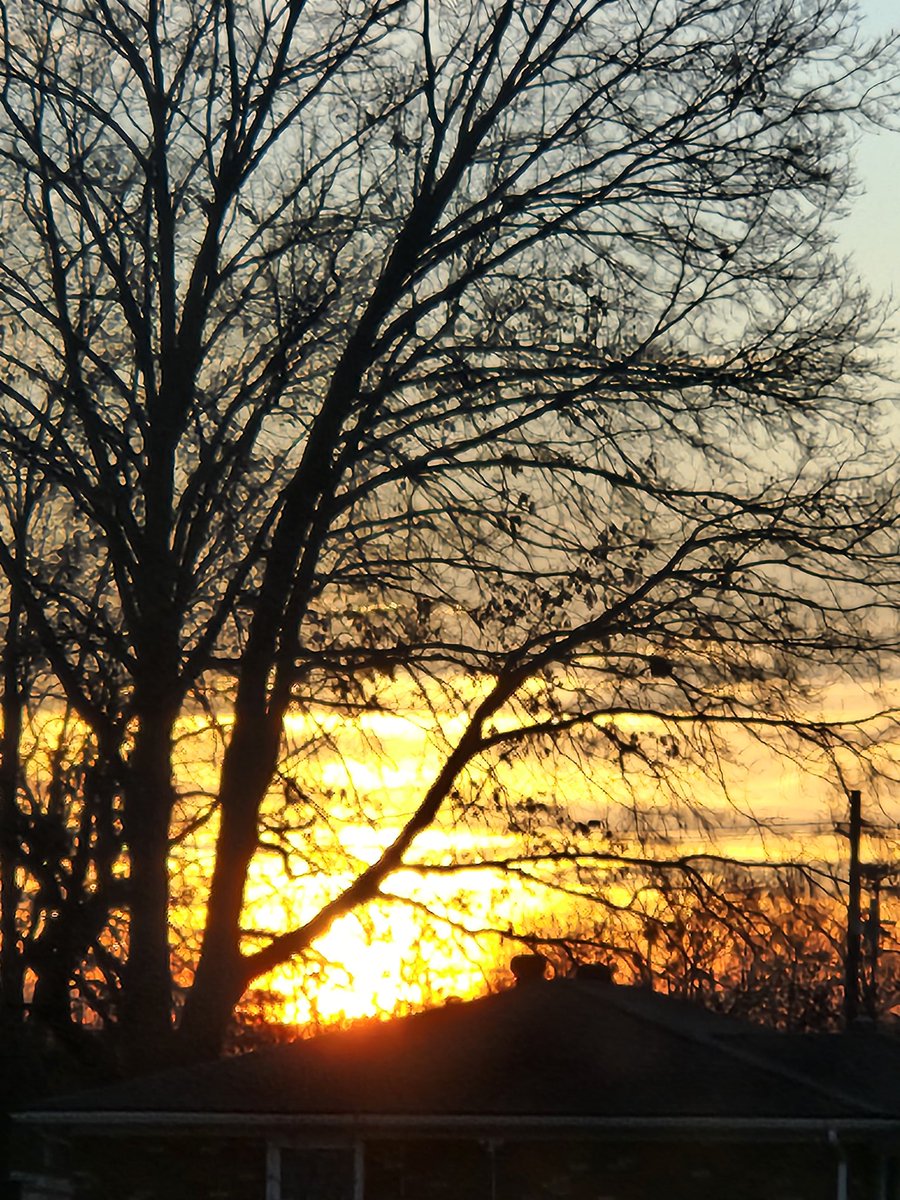 Good morning