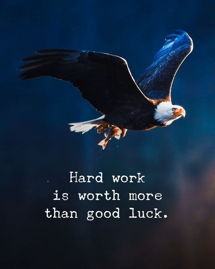 Capital Coin tweet media