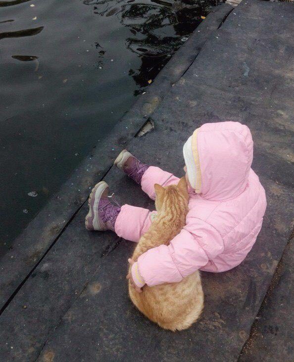 Animal Army (@armyanimai) on Twitter photo 