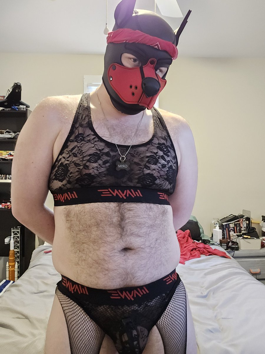 vb_hole's tweet photo. What would you do with a pretty puppy all locked and dressed up for you π₯Ίππ @Wayneunderwear #gaypup #redpup #ff #lingerie https://t.co/Yer3zf6IhB