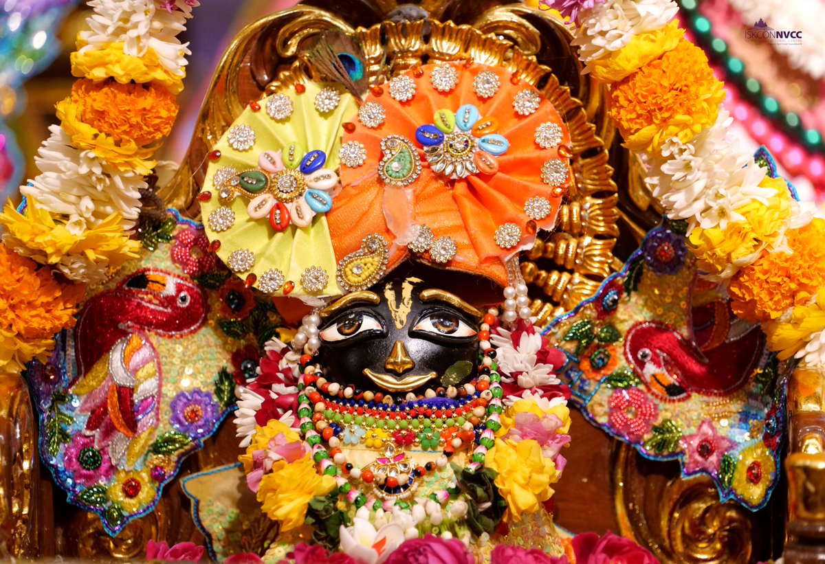 ISKCONPune's tweet photo. 🌷Sri Nityananda Trayodashi Special Darshan🌷
🙏Sri Sri Jagannath Baldev Subhadra🙏
🗓10-02-2025🙏 🚩@ISKCONNVCCPune🚩
.
.
#ISKCONNVCC #ISKCONPune #ISKCONNVCCPune #ISKCON
#Nityanandatrayodashi #12thAnniversary #12thAnniversarynvcc
#10thfebruary #10thfebruary2025 #Monday #Nitai https://t.co/50bflJCr9e
