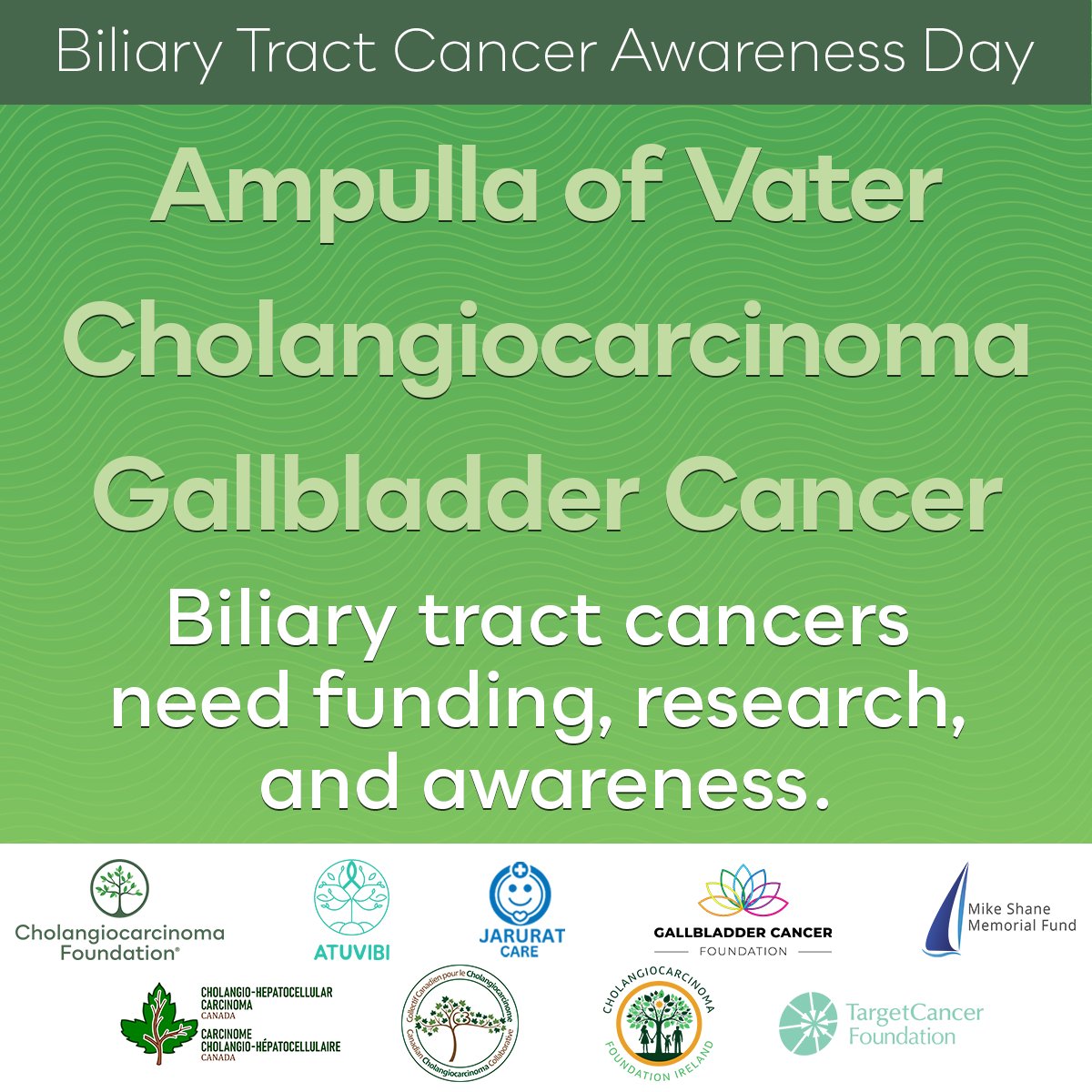 🔬 Biliary Tract Cancers Awareness Day 🟢💜💛

Biliary tract cancers—including cholangiocarcinoma, gallbladder cancer, and ampulla of Vater cancer—are rare but important to understand. Despite their impact, they remain understudied, underfunded, and often overlooked.

🌍 While