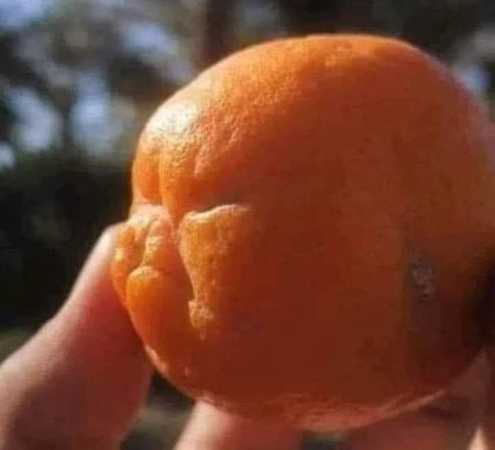 Richie Meldrum tweet media