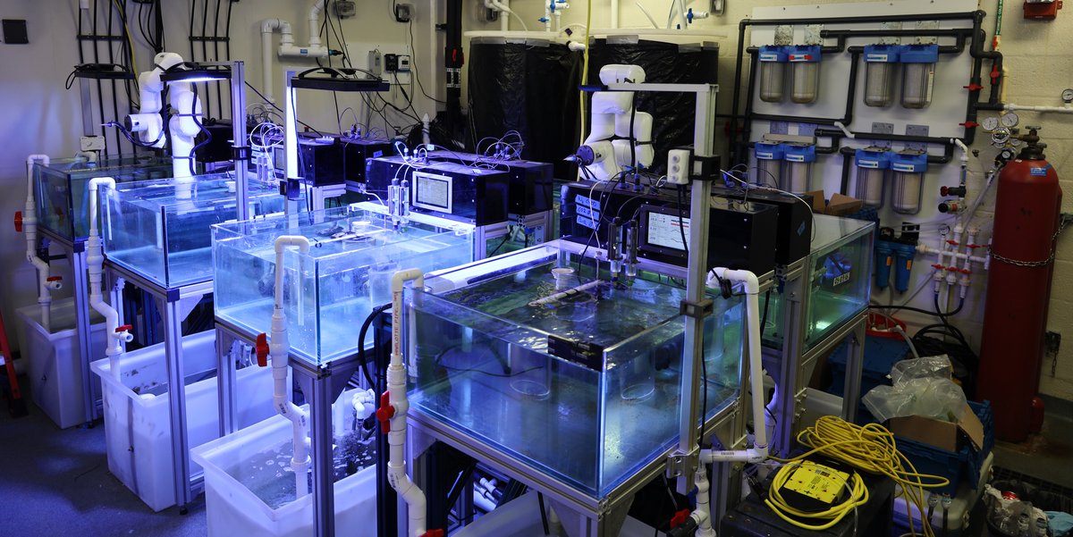 NOAA_AOML's tweet image. In honor of National Inventors' Day tomorrow, we wanted to highlight the innovation right here at AOML.
As we deploy instruments to the depths while traversing entire oceans, designing robotic arms or entire labs, our engineers design technologies to fuel our research.