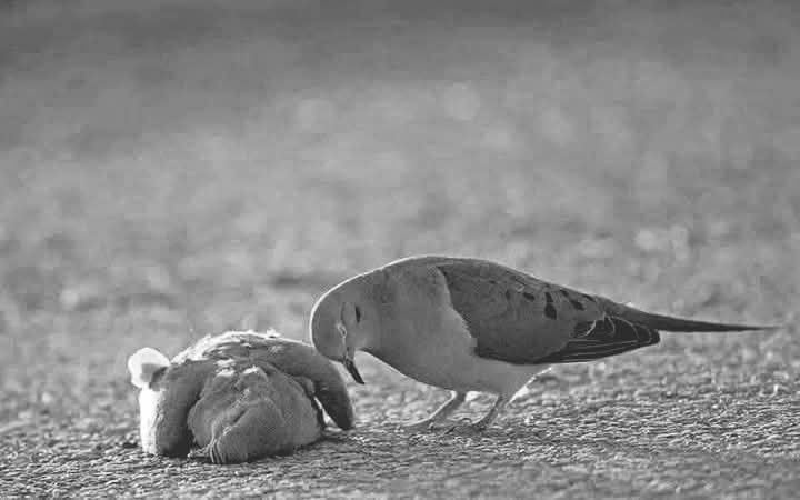 ولا تحسبنَّ الفراق هيَّنًاً. 💔