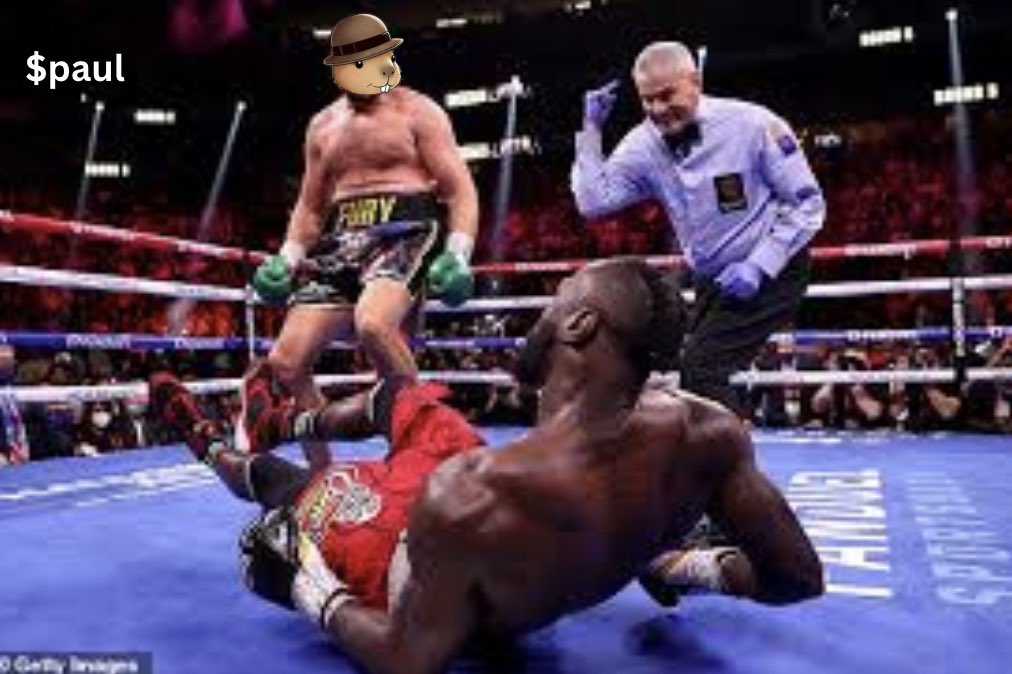 new week means it’s time to
pull up
$paul $algo