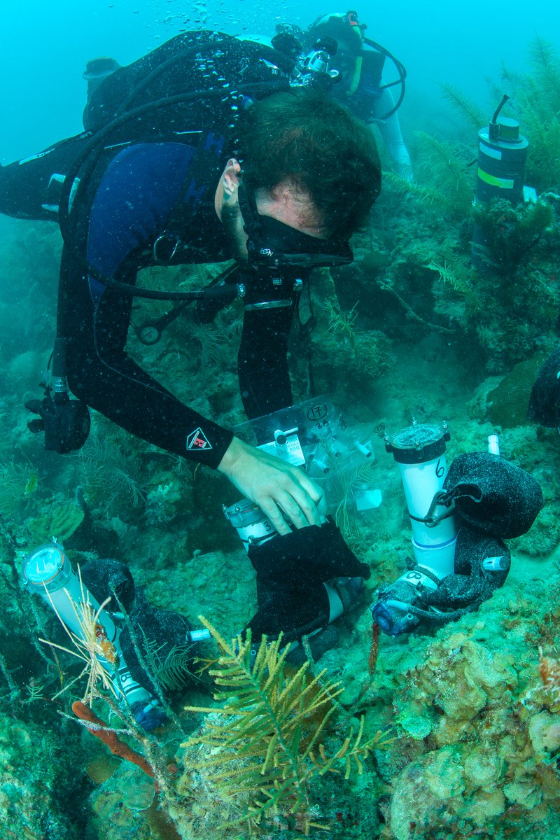 NOAA_AOML's tweet image. In honor of National Inventors' Day tomorrow, we wanted to highlight the innovation right here at AOML.
As we deploy instruments to the depths while traversing entire oceans, designing robotic arms or entire labs, our engineers design technologies to fuel our research.