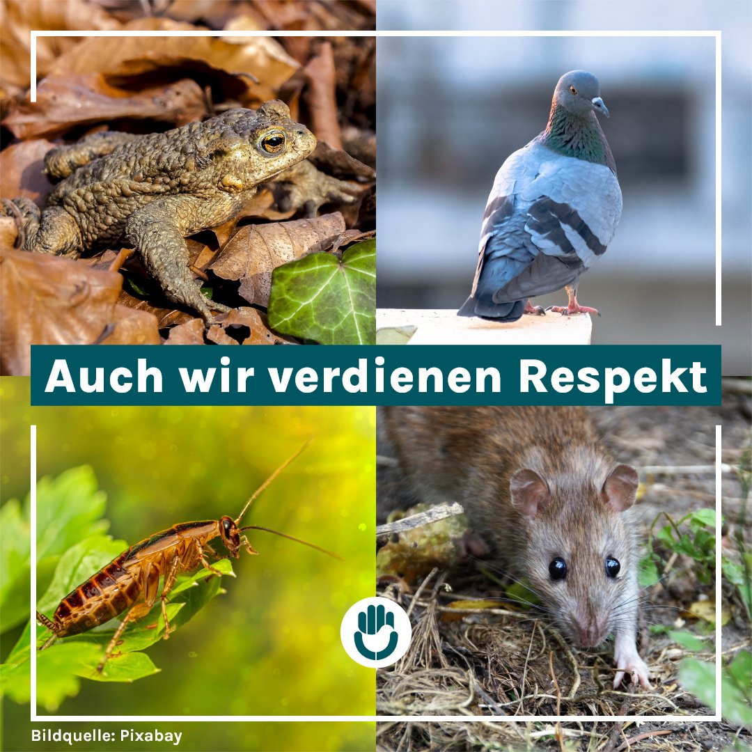 Kein Tier ist weniger wert als ein anderes. Sie alle sind fühlende Individuen, die Schutz und Respekt verdienen!