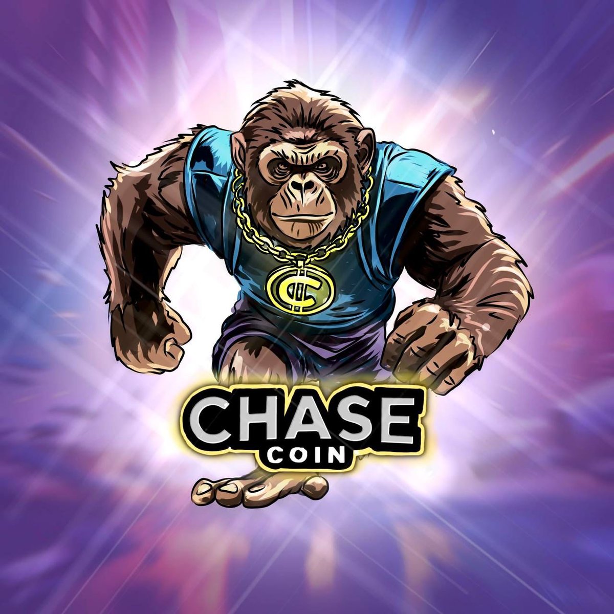 CHASECOINSOL's tweet photo. #CHASE https://t.co/TifWxbROFT