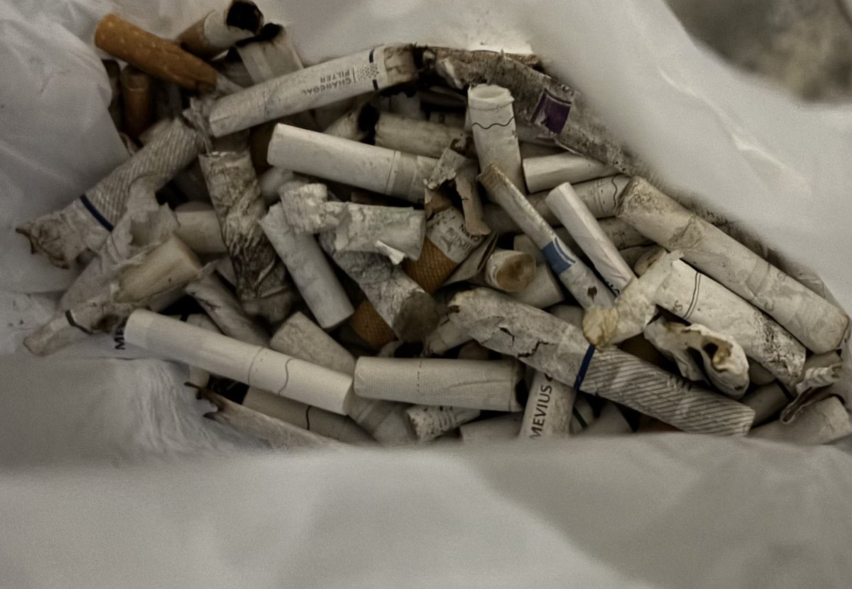 マイペースangler tweet media