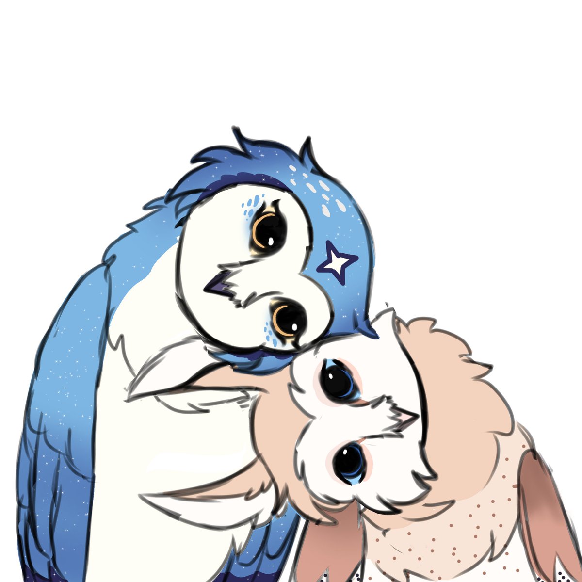 casal de corujas