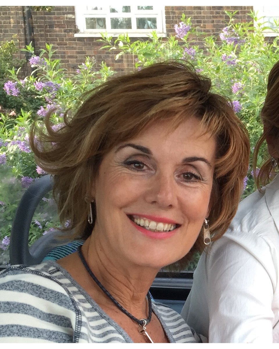 Sociedad Internacional de Bioética (SIBI) GIJÓN tweet media