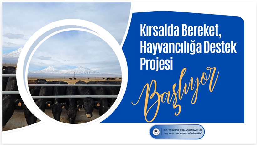 ValilikProje56's tweet photo. Kırsalda Bereket, Hayvancılığa Destek Programı 2025 Yılı Başvuruları Başladı.
Proje kapsamında; etçi ırk gebe düve hayvan, suvansiyonlu kredi imkanı ile verilecek; ayrıca bakım, besleme ve hayvan sigortası desteği. Son gün 28 Şubat 2025.
Detaylar: https://t.co/vmjY1REZyF https://t.co/rcsqxHmoIu