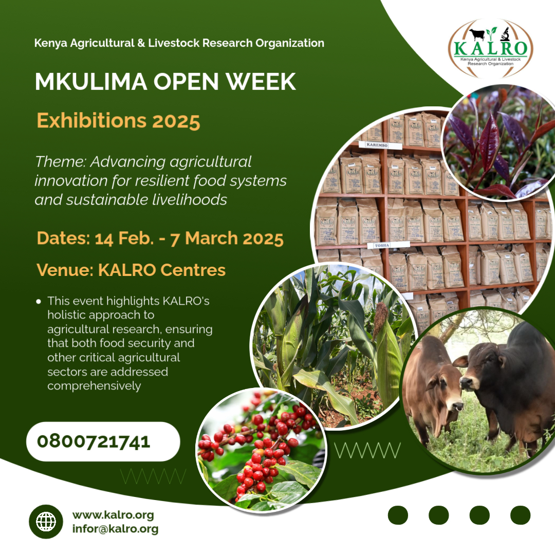 Join us at our upcoming 𝐌𝐤𝐮𝐥𝐢𝐦𝐚 𝐎𝐩𝐞𝐧 𝐖𝐞𝐞𝐤 𝐄𝐱𝐡𝐢𝐛𝐢𝐭𝐢𝐨𝐧 𝟐𝟎𝟐𝟓, where innovation meets sustainability! Come explore groundbreaking research, cutting-edge technologies, &amp; solutions from our research centres.
𝐒𝐚𝐯𝐞 𝐭𝐡𝐞 𝐃𝐚𝐭𝐞: 14 Feb. - 7th Mar 2025