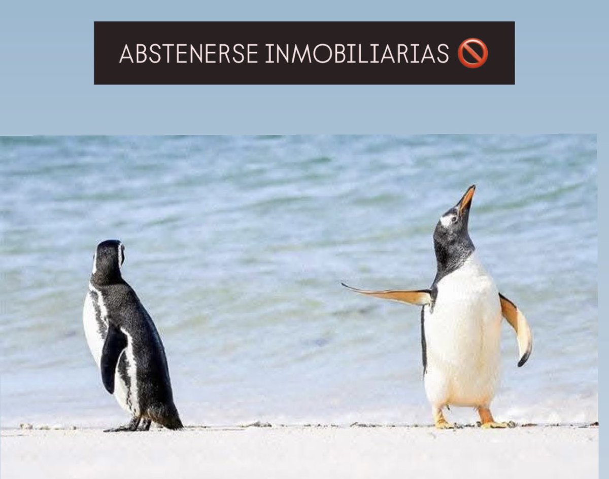 ABSTENERSE INMOBILIARIAS 🚫

Con estas dos palabras dices, de forma muy contundente, que puedes vender a nivel particular. Y es probable que así sea .
Pero....

Aquí  👇🏼 te contamos los “peros” (porque si…los hay) 

bit.ly/BlogAMHomes5