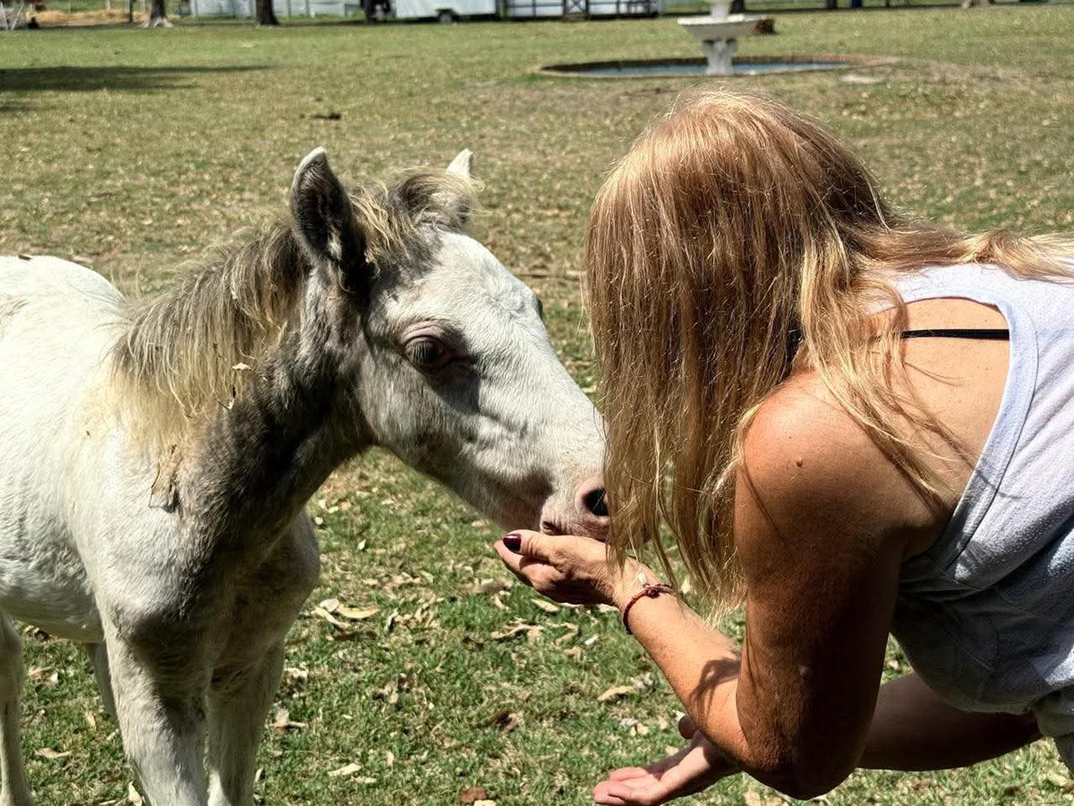 Buenas, gente 👋

Un gran paso hacia la confianza ✨

#Renato  tuvo un comienzo difícil en la vida. El único contacto que conoció con los humanos fue el miedo, porque cada vez que se acercaban a él o a su madre, era para castigarlos. 

Creció desconfiando, escapando, creyendo que