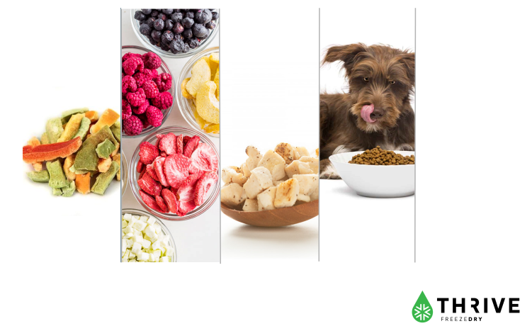 Here at Thrive Freeze Dry, we've got delicious freeze dried favorites for every member of the family. All our foods retains it's full flavor, full nutrition, vibrant colors, and can be conveniently packaged to your specifications. Learn more at thrivefreezedry.com