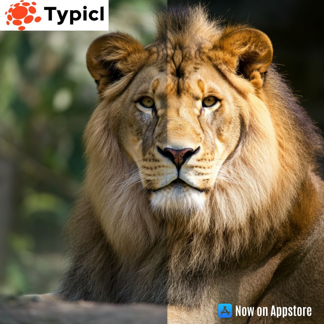 TypiclAi's tweet image. Transform your images with cutting-edge AI technology. Enhance clarity, boost details, and achieve a professional finish—effortlessly 

Download now: buff.ly/3zjJ7uL 

#FeelTheDifference #AIPhotoEnhancement #NextLevelEditing #PhotoQualityBoost #SmartEditing #Flawless