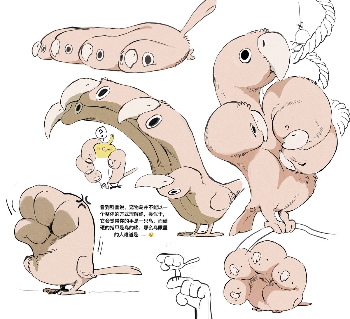 yogin幺菁 tweet media