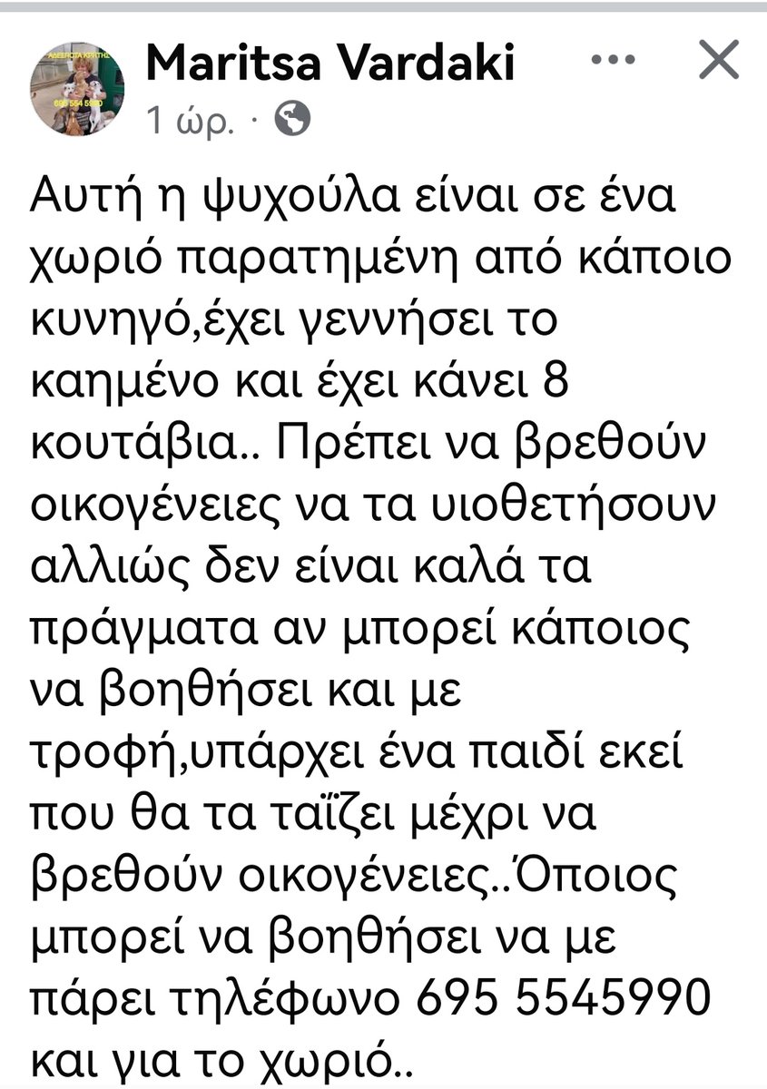 Christinalirou2's tweet photo. Ηράκλειο Κρήτης ‼️🆘‼️🆘‼️🆘‼️Εγκατέλειψαν κυνηγόσκυλο με τα κουταβάκια του. Κοινοποιούμε μήπως βρεθεί φιλοξενία θα παγώσουν έξω τα μωρα💔😪 https://t.co/tuxAEdJzde