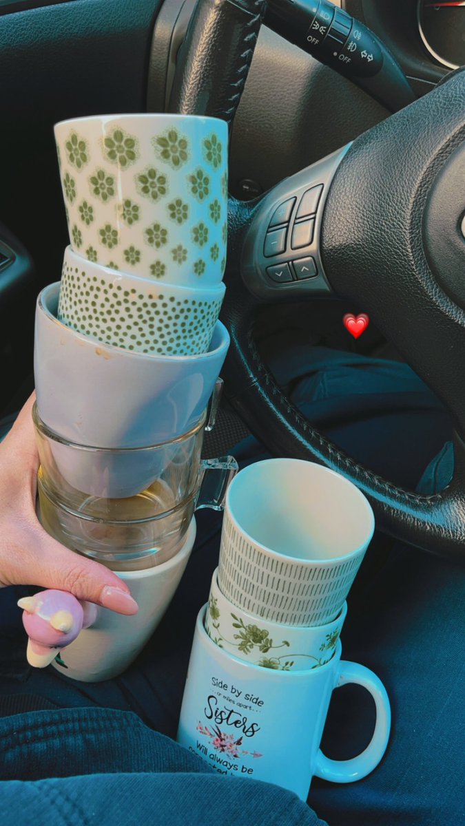 Min lägenhet är fläckfri … min bil åt andra sidan … 🧐

Om en vecka kommer jag säkert hitta lika många 😅 #makalös