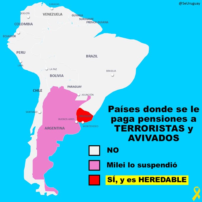 Ana Grim 🇺🇸💙🤍🇦🇷Ⓜ️ (@ana_grimbaum) on Twitter photo 