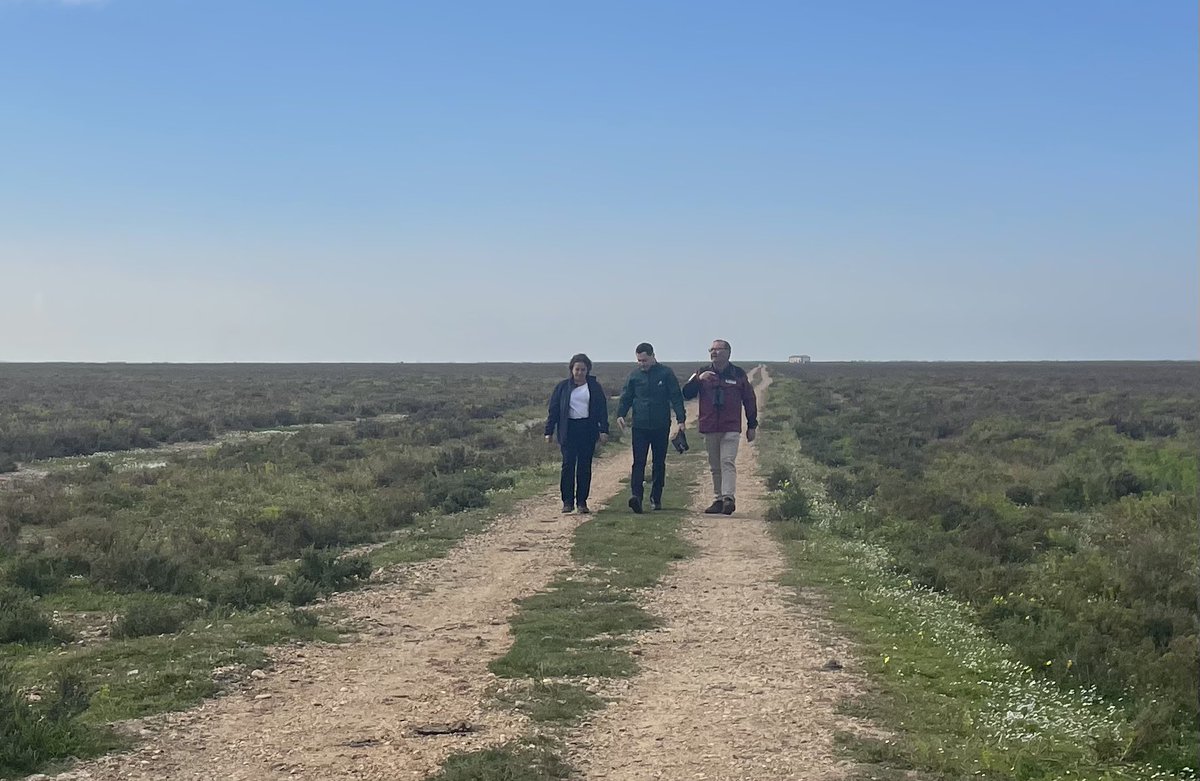 RicardoS2019's tweet image. Nuestro presidente @JuanMa_Moreno anuncia la compra por casi 6M€ de la finca de “Tierras Bajas” que comprenden un total de 1.134 ha. para la conservación y ampliación del espacio natural de Doñana. 
Agrandamos un total 8.700 ha. propiedad de la @AndaluciaJunta. 
#RevolucionVerde