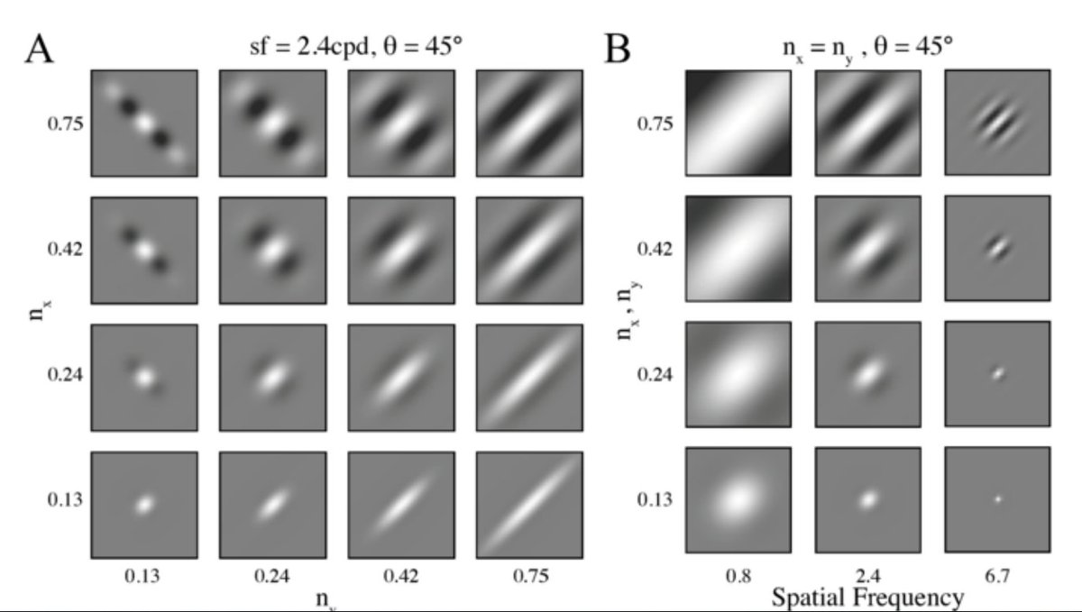 Our article "Contribution of V1 Receptive Field Properties to Corruption Robustness in CNNs" was presented at ECAI-2024, ebooks.iospress.nl/doi/10.3233/FA… #MLKDIDSS