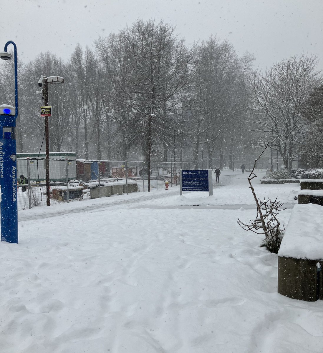 ecochangegroup's tweet image. From snowy Vancouver ❄️ to frozen Yellowknife 🧊, it was a good week discussing landscape carbon and opportunities for nature based climate solutions 🌲🌳 Thanks @GNWT_ECC for helping to organize!