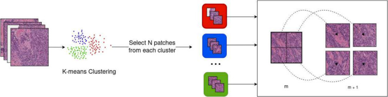 Our article "Multiple Instance Learning for WSI: A comparative analysis of attention-based approaches" was published, sciencedirect.com/science/articl… #MLKDIDSS