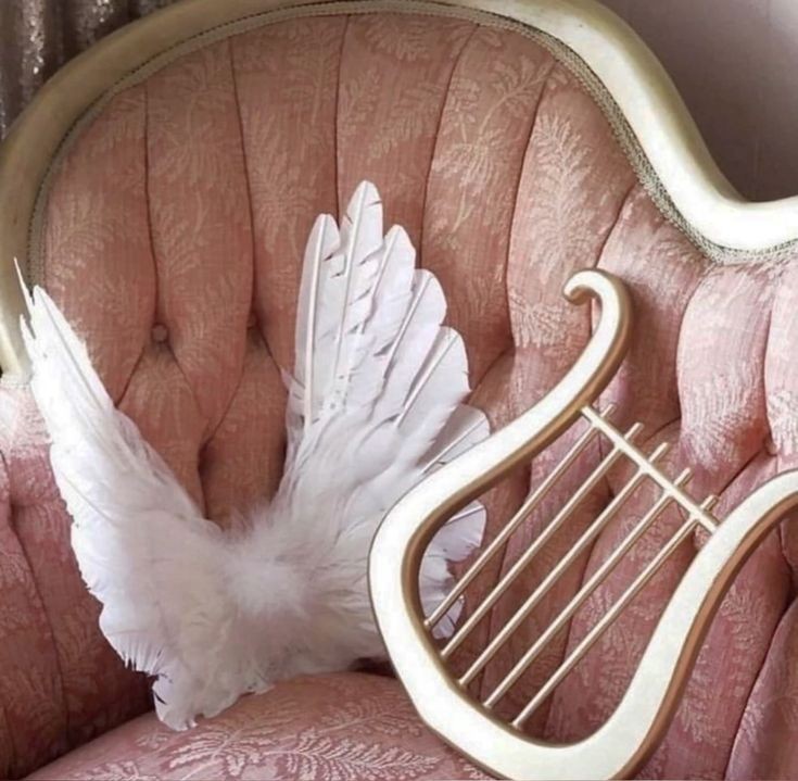 ˖ ݁🪄𖥔 ݁˖ 🪽 ݁𖥔 ݁˖