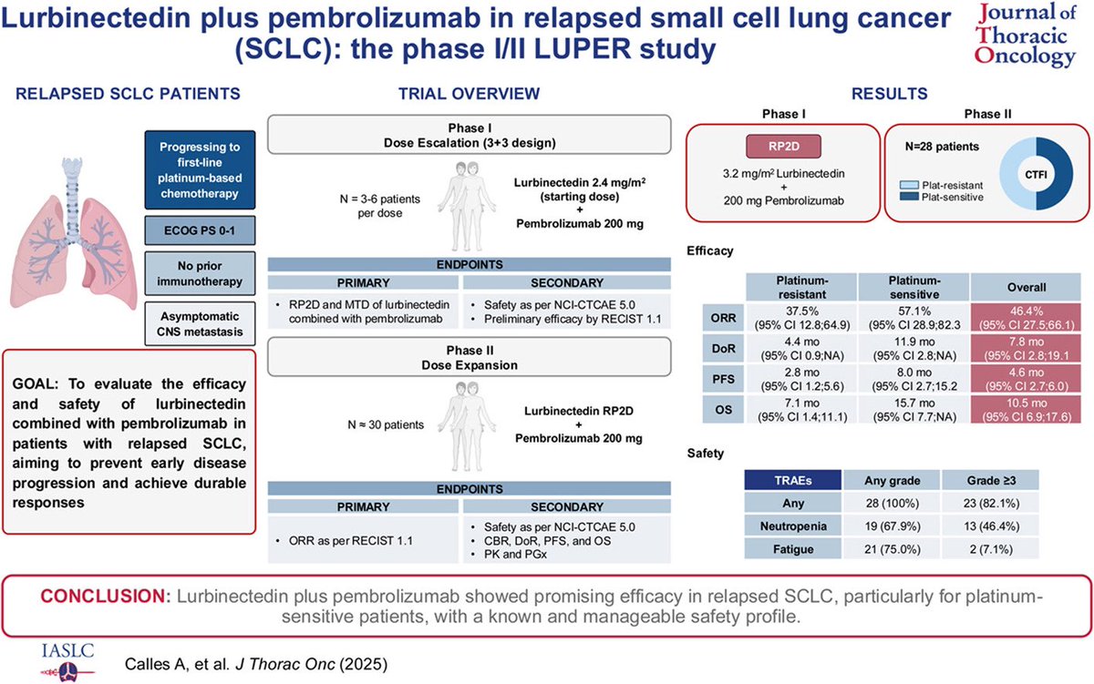 Huge congratulations to <a href="/Tony_Calles/">Dr. Antonio Calles 🫁🚭</a>  and the team for the LUPER study!  

Lurbinectedin + pembrolizumab shows promising efficacy in relapsed SCLC, particularly in platinum-sensitive patient, addressing a key unmet need. 

<a href="/JTOonline/">JTO & JTO CRR</a> 
#LungCancer #SCLC