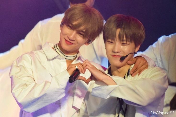 shuasmedia's tweet photo. happiest birthday our beloved talented maknae, dino 🦦🤍 

#캐럿들의_존재의이유_디노생일
#DINOW_OF_KPOP_DAY https://t.co/fXOamwXbpI