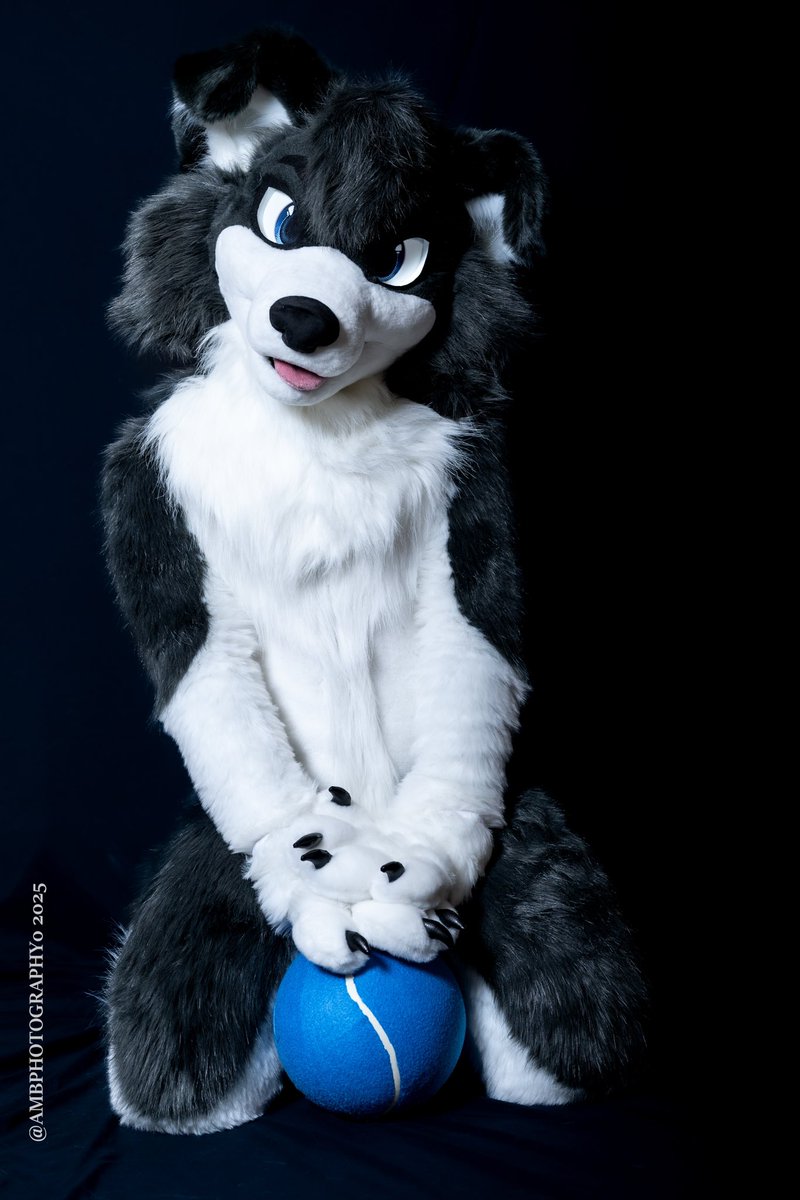 Sandi_Colli's tweet photo. A couple of pictures from my furst of hopefully many photoshoots! Words can’t describe how happy I am that my boyo is alive :,)

📸:@ajtexasranger 
🪡:@Giavenchi https://t.co/czuEINPBpW