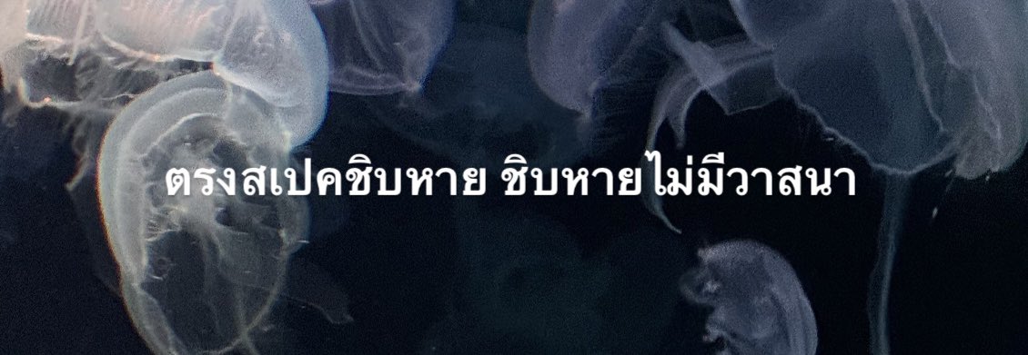 ศิลปินคนโปรด be like :