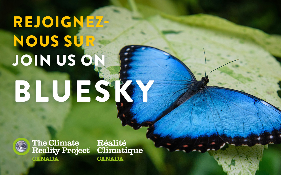 🌍💚🙌 We're excited to launch our profile on Bluesky!  Join us on the social media platform with the optimistic name (we love that!). 

On se lance dans l'univers de Bluesky! Rejoignez-nous sur ce réseau social au nom très optimiste (on aime bien ça)! 

👉bsky.app/profile/realit…