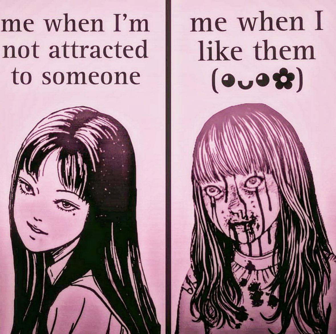 ✧ (@northstardoll) on Twitter photo 