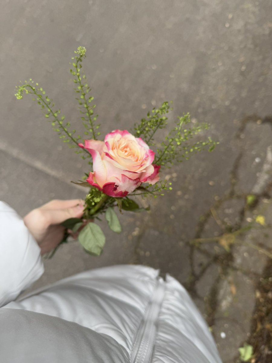 𝘓𝘢𝘶𝘳𝘢 tweet media