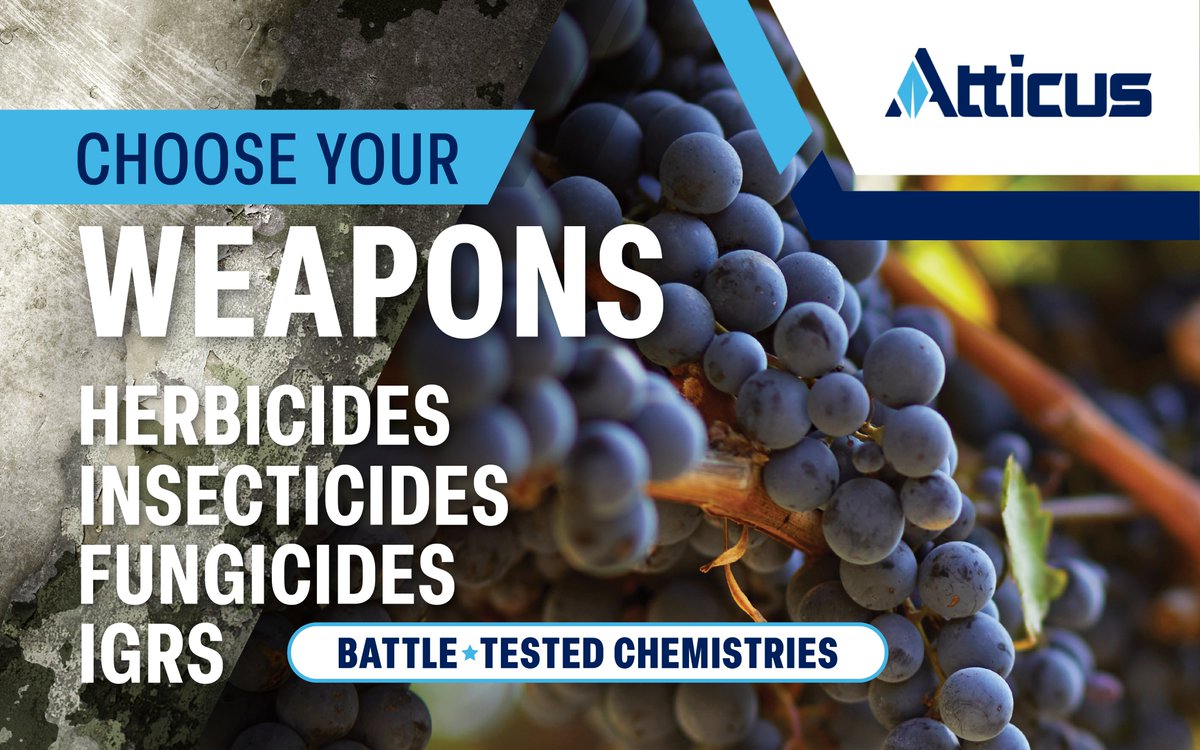 Fruit Growers News (@fgnews) on Twitter photo Growing grapes is your expertise. Protecting them is ours. <a href="/AtticusLLC/">Atticus LLC - Agriculture</a> delivers battle-tested chemistries to safeguard your vineyards from insects, disease, and weeds all season long. For a complete list of arsenal, visit atticusllc.com/crops/vines
(Sponsored) Growing grapes is your expertise. Protecting them is ours. <a href="/AtticusLLC/">Atticus LLC - Agriculture</a> delivers battle-tested chemistries to safeguard your vineyards from insects, disease, and weeds all season long. For a complete list of arsenal, visit atticusllc.com/crops/vines
(Sponsored)